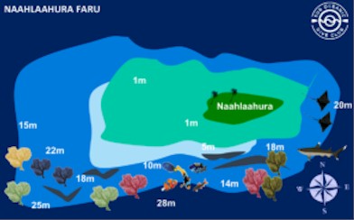 Naalaahruraa Faru